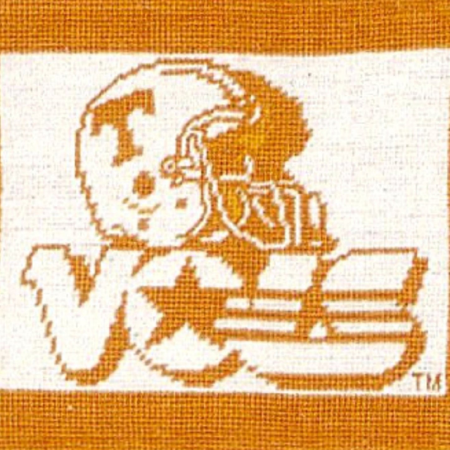 Handmade Wool Needlepoint Pillow Cover - Decorative Throw Cushion Cover - Vintage Floral Embroidery Design Tennessee